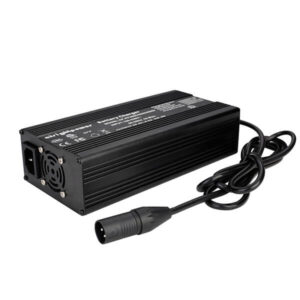 24v 10a litium batterilader