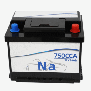 custom 12v 20ah sodium ion cranking starting battery (copy)
