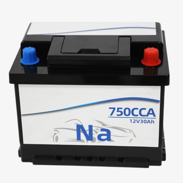 custom 12v 20ah sodium ion cranking starting battery (copy)